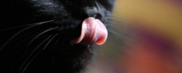 清理舌苔小窍门是什么(清理舌苔的方法)