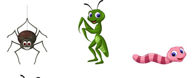 昆虫养殖前景介绍(昆虫养殖业)