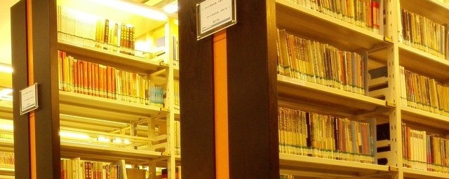 常见的系动词有什么用法(系动词的使用)