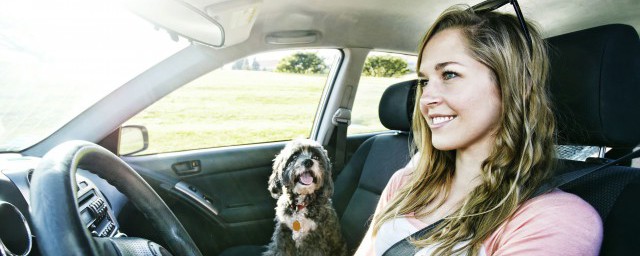 sylphy是什么牌子的车(sylpsy是什么车)