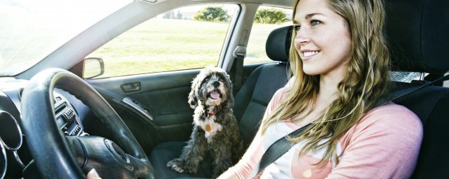 烟头掉在车座缝隙里了怎样拿出来(烟头掉进车前盖缝隙)