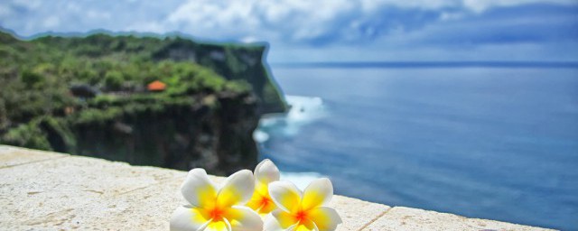 预约西溪湿地操作步骤(去西溪湿地需要预约吗?)