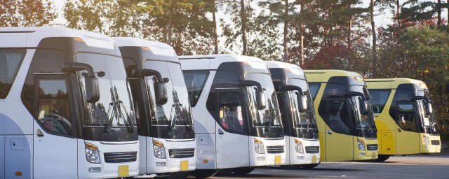 公交车能不能吃东西(在公交车上可不可以吃东西)