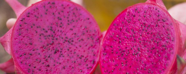 皮蛋能不能和火龙果一起吃(火龙果能和虾皮鸡蛋一起吃吗)