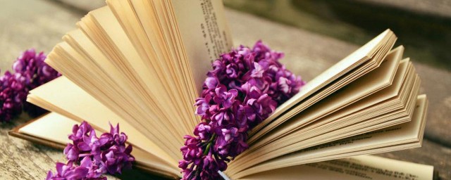 递归意思说明(递归是什么)