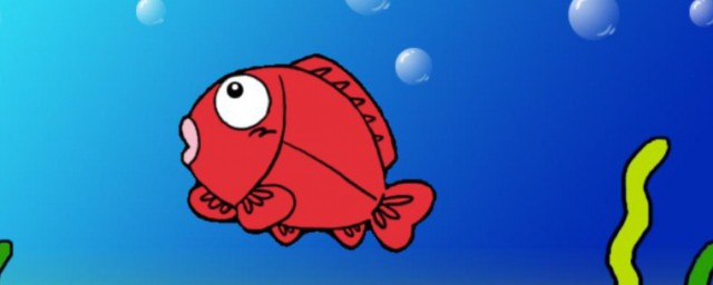 鱼沉底不动的原因(鱼沉在水底不动的原因)