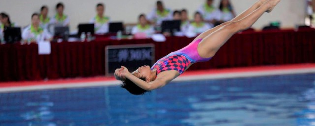 跳水女子全红婵简介(跳水姑娘全红婵夺冠记作文)