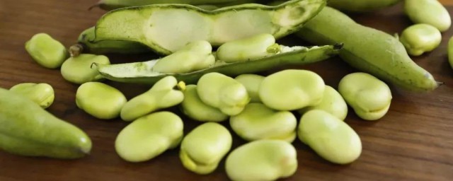 蚕豆皮可以吃吗(煮熟的蚕豆皮可以吃吗)