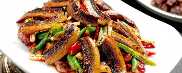 黄鳝是不是鱼(黄鳝是不是鱼百度百科)