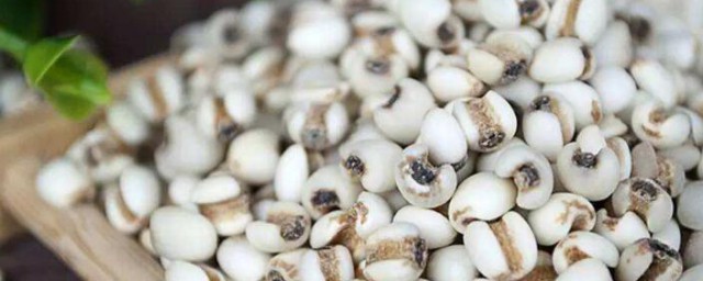 薏米炒过要不要泡了再煮(薏米炒完再泡还是泡完再炒)