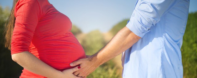 腹围的意思(腹围指的是)