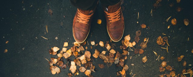 网眼运动鞋的清洗方法(网眼运动鞋怎么刷干净)