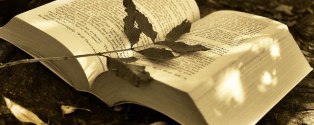 农低解释(贫下中农的意思)