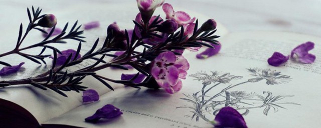 烟囱的拼音是什么(烟囱的囱的拼音怎么拼)