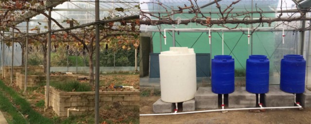 什么是水肥一体化(什么是水肥一体化?发展水肥一体化有什么优点?)