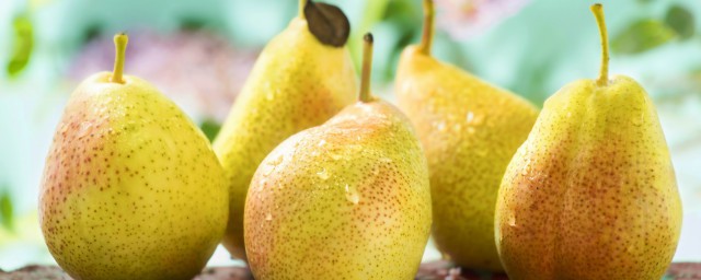 关于川贝蒸梨的做法及功效(川贝蒸梨方法)