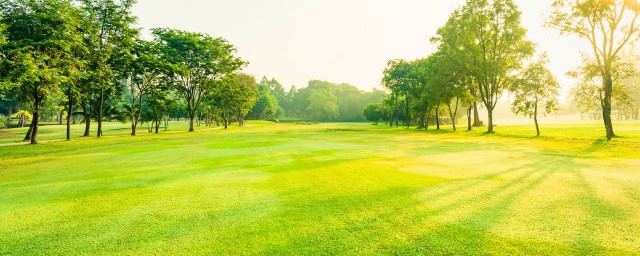 草的拼音怎么读(蕺的拼音怎么读)