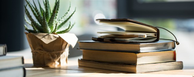 月朦胧原文及赏析内容(月朦胧鸟朦胧)