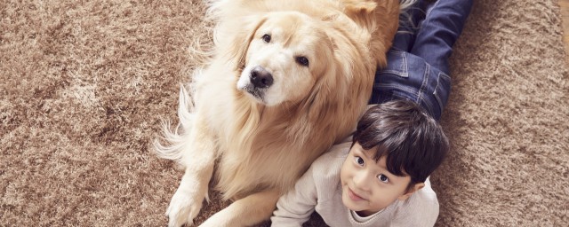 狗狗发情期多少天呢