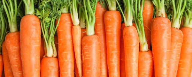 冬瓜和胡萝卜能不能同食(冬瓜与胡萝卜能一起吃吗)