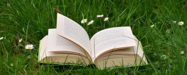 箎的理解(龢怎么理解)