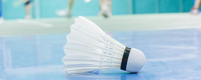 戴资颖介绍(戴资颖个人简历)