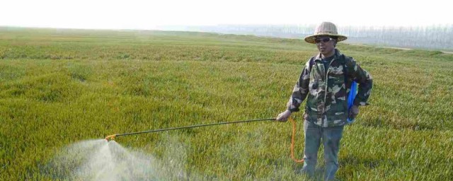 莠去津的作用(莠去津的作用及使用方法及用量)