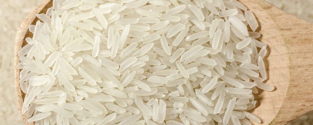 米生了蛾子还能不能吃(米生了飞蛾还能吃吗)