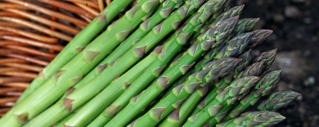 芦苇笋是否可以吃(野芦苇笋可以吃吗)