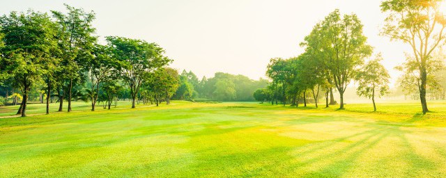 阳光都像什么(阳光像什么又像什么)