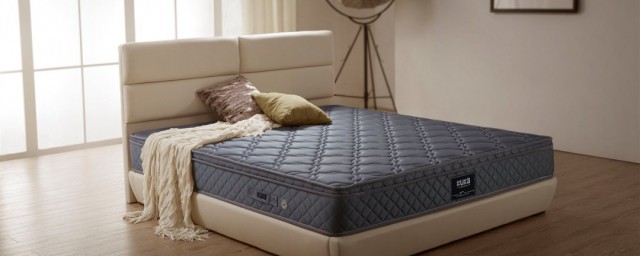 床垫上的小虫子解决方法(床垫下的小小的虫子)