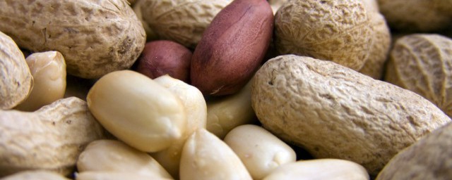 花生是不是坚果(花生是不是坚果中蛋白质最高)