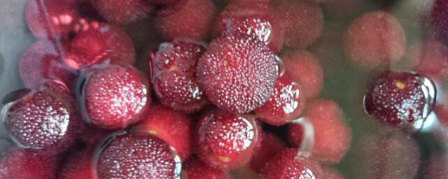 杨梅不用盐水泡可不可以吃(吃杨梅不用盐水泡会怎样)