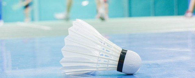 羽毛球金庭属于哪个国家(羽毛球银牌是哪个国家)