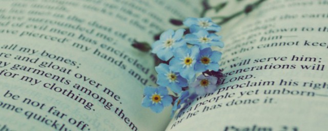 公里的解释(公里表示什么)