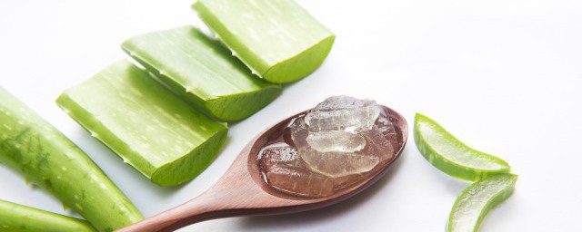 关于芦荟的功效和禁忌介绍(芦荟有什么禁忌)