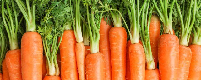 能不能同时吃胡萝卜和青椒(青椒能与胡萝卜一起吃吗)