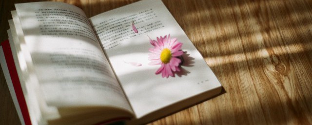 搀扶怎么拼(搀扶的搀怎么拼)