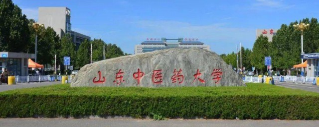 山东省中医药大学介绍(山东中医药大学是什么)