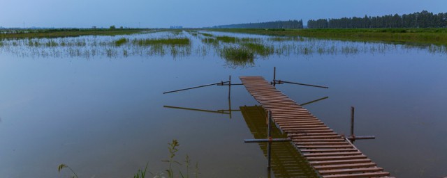 内陆养殖介绍(内陆养殖和沿海养殖)