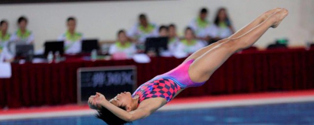 运动员全红婵简介(全红婵是什么运动员)