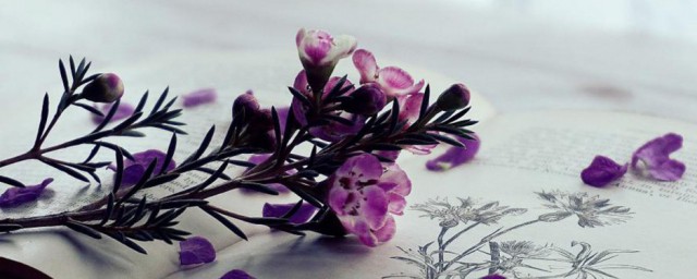 美食的拼音是什么(比如美食的拼音)