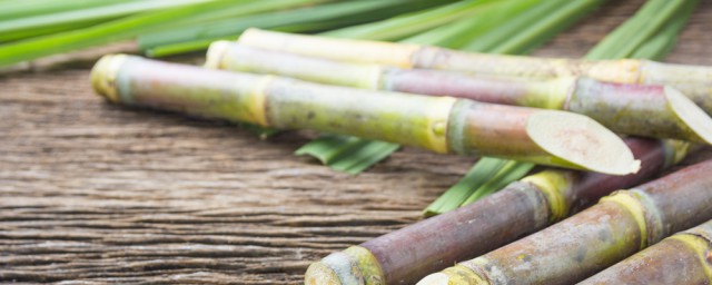 甘蔗怎么拼(甘蔗怎么拼英文)