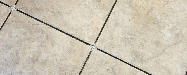 地板砖缝隙有很多蚂蚁出来的解决方法(地砖缝有小蚂蚁怎么回事)