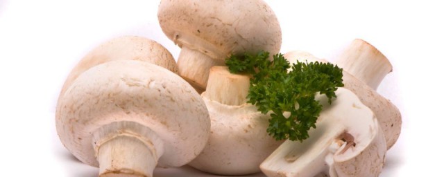 蘑菇冻了还能不能吃(蘑菇冻了能吃吗?)