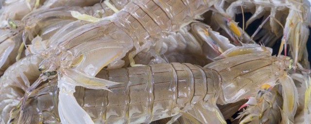 关于橙子和虾可以一起吃吗(橙子能和虾一起吃么)