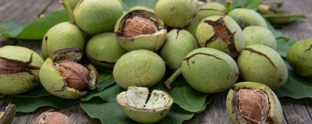 夏威夷果的介绍(夏威夷果有哪些)