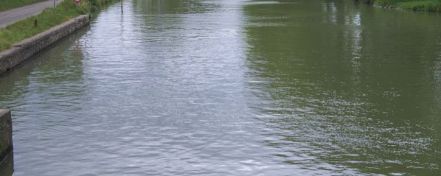 鱼塘水质变黑的处理方法介绍(养鱼塘水变黑怎么办)