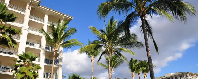 黄埔大学的介绍(广州黄埔区大学有哪些)