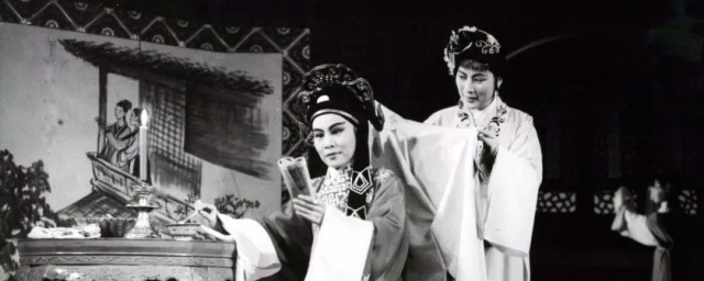 王文娟个人简介(王文娟的资料)